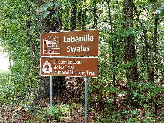 Lobanillo Swales