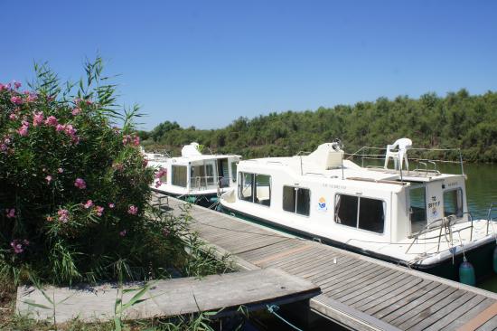 Office de Tourisme & Centre des Congrès de Palavas-les-Flots