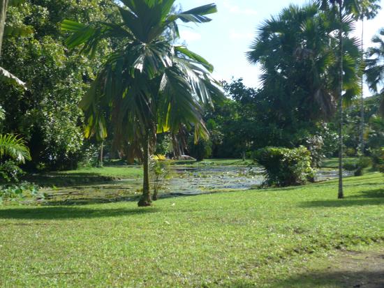 Harrison W. Smith Botanical Garden