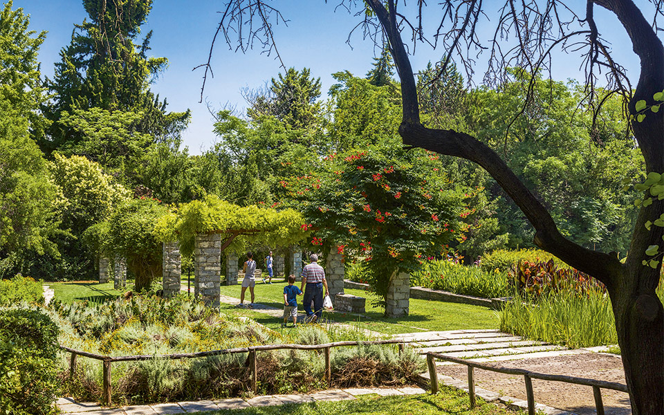 Botanical Garden Diomedes
