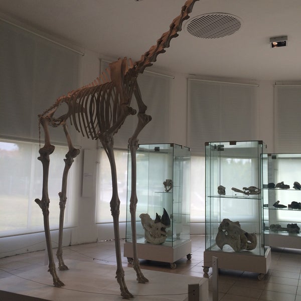 Museo Provincial de Ciencias Naturales y Antropologicas