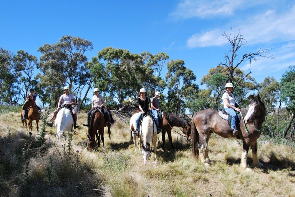 HIgh Country Trail Rides