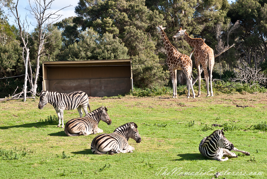 Werribee Open Range Zoo