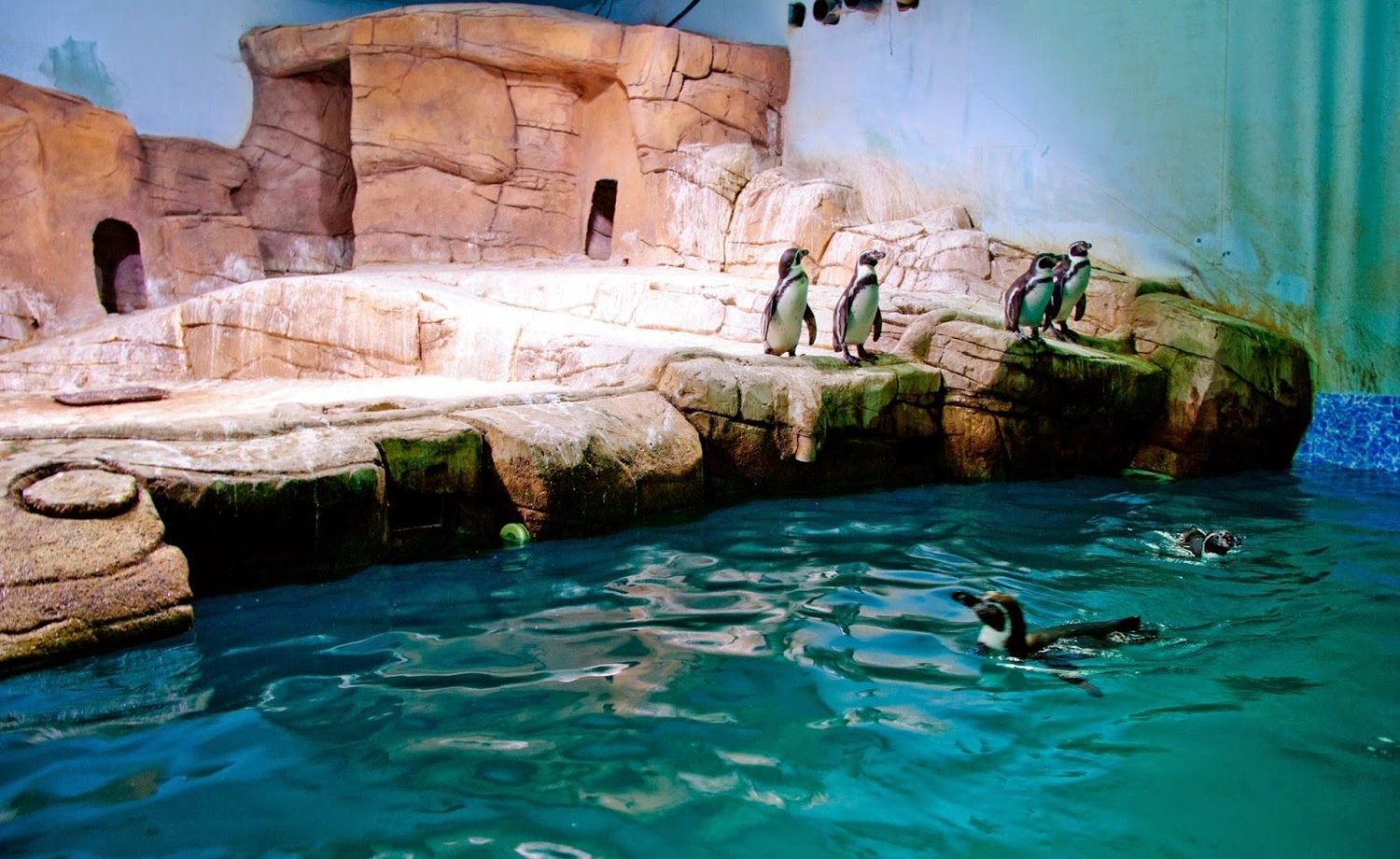 Ocean Aquarium