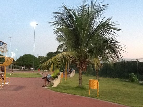 Outdoor Pictures 1