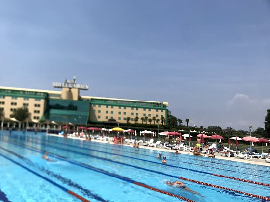 Assago Beach Forum