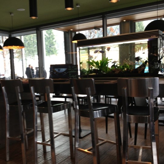 Bar Vicini