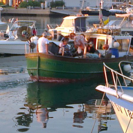 Vivi Il Mare Con Peppo