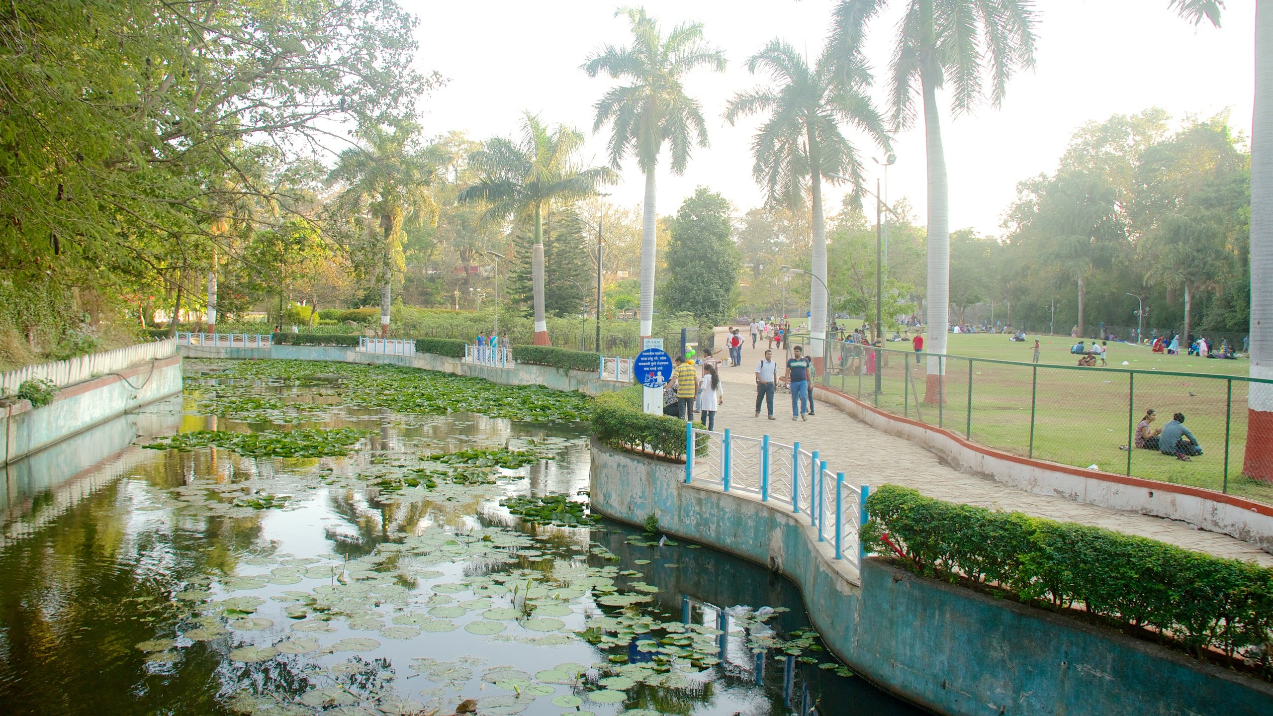 Saras Baug