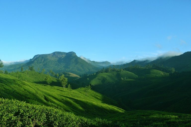 Dzukou Valley