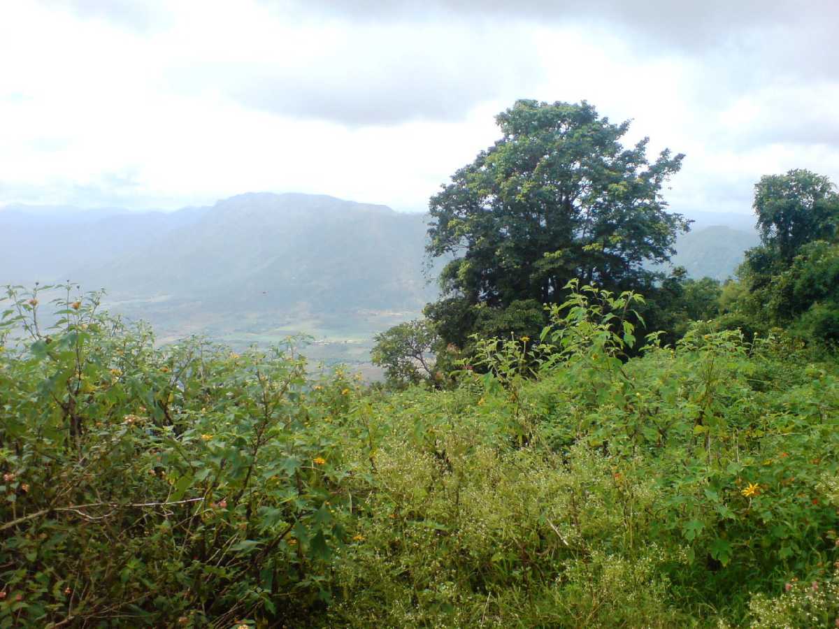 Chellarkovil Viewpoint