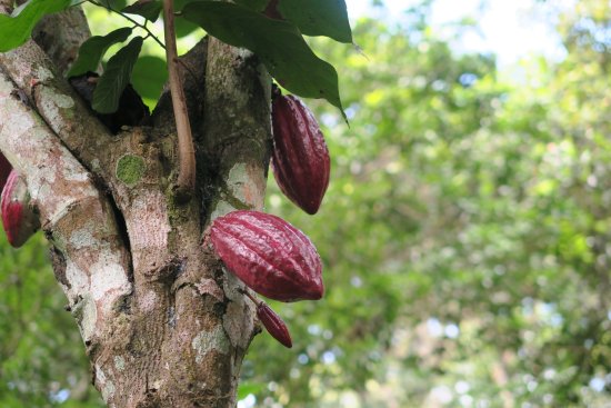 Abraham's Spice Garden