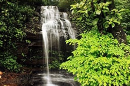 Outdoor Pictures 1