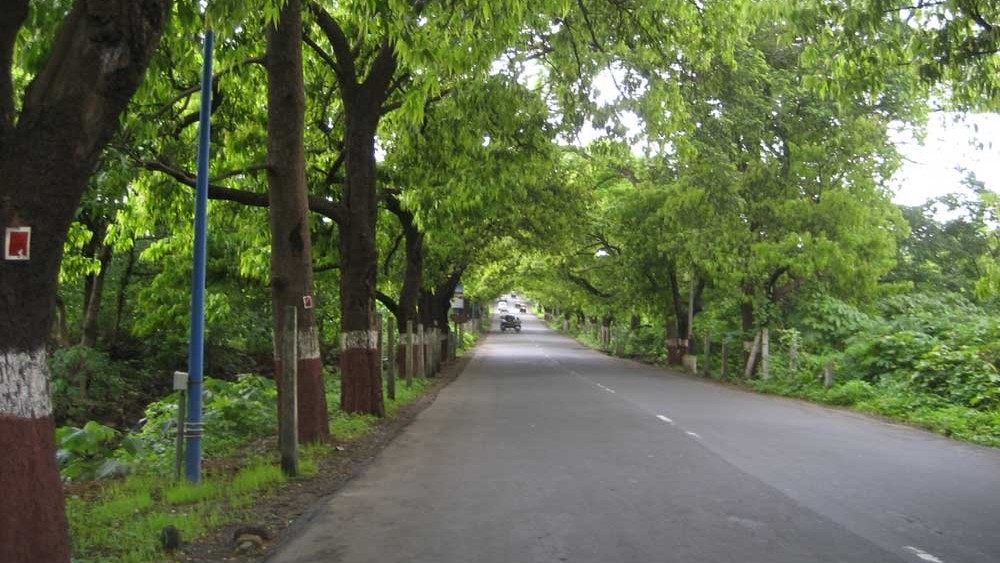 Aarey Colony