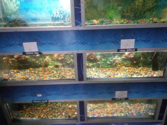 State Aquarium