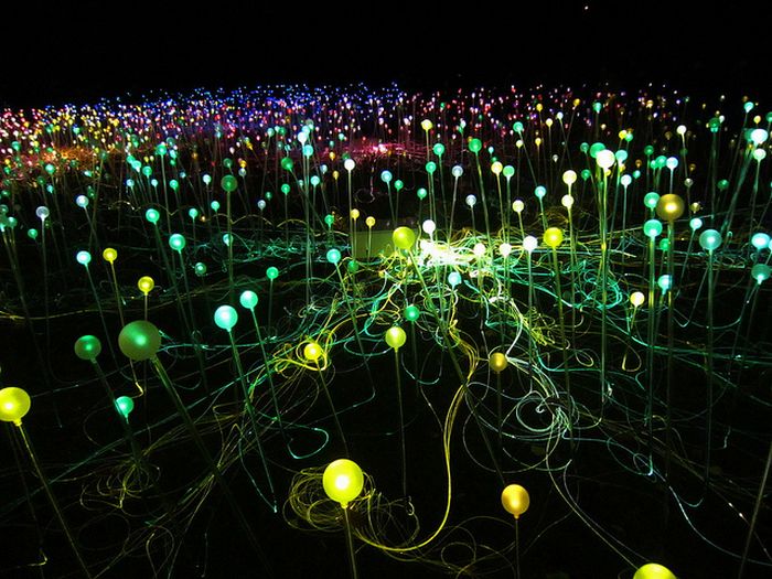 Sound-&-Light Show