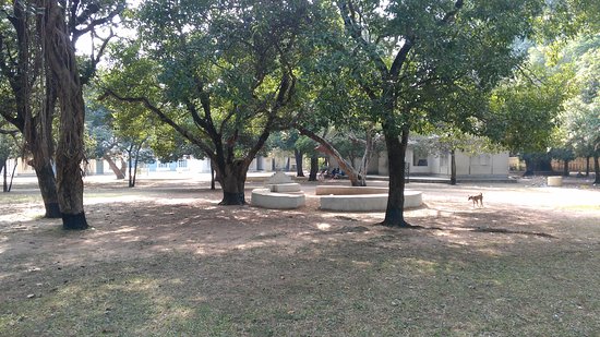Patha Bhavan