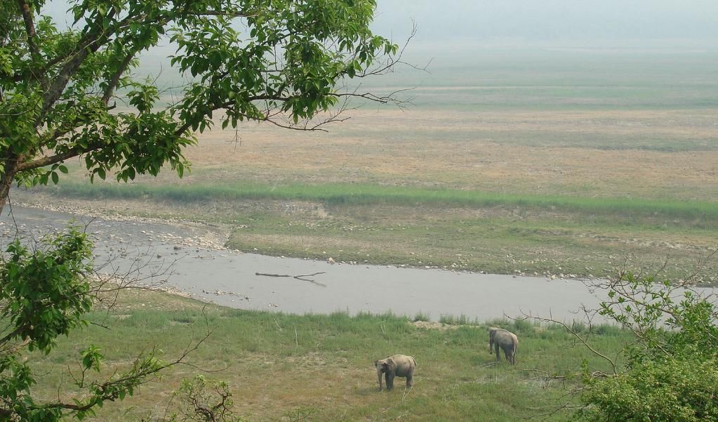 Sonanadi River