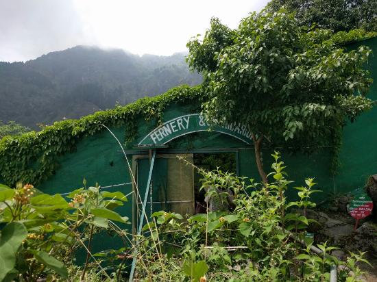 Himalayan Botanical Garden