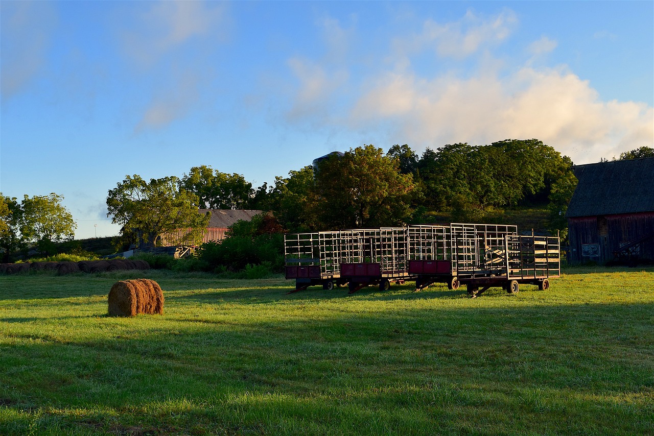 Grass Farm Nursery