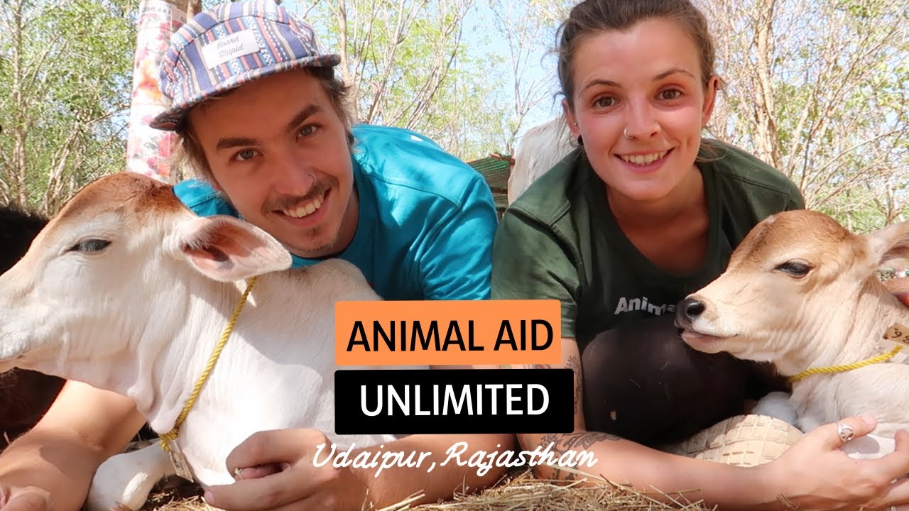 Animal Aid Unlimited