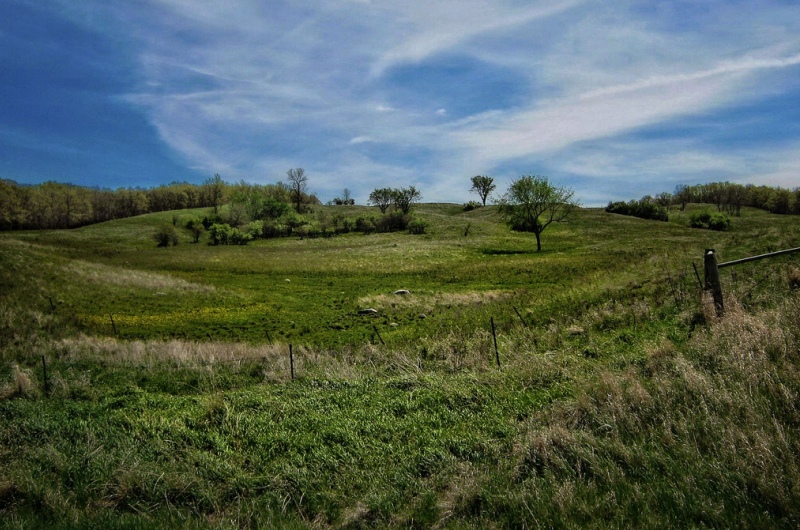 Grass Hills