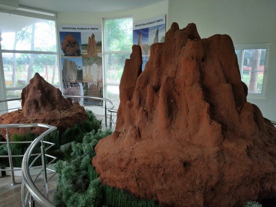 Insect Museum, TNAU