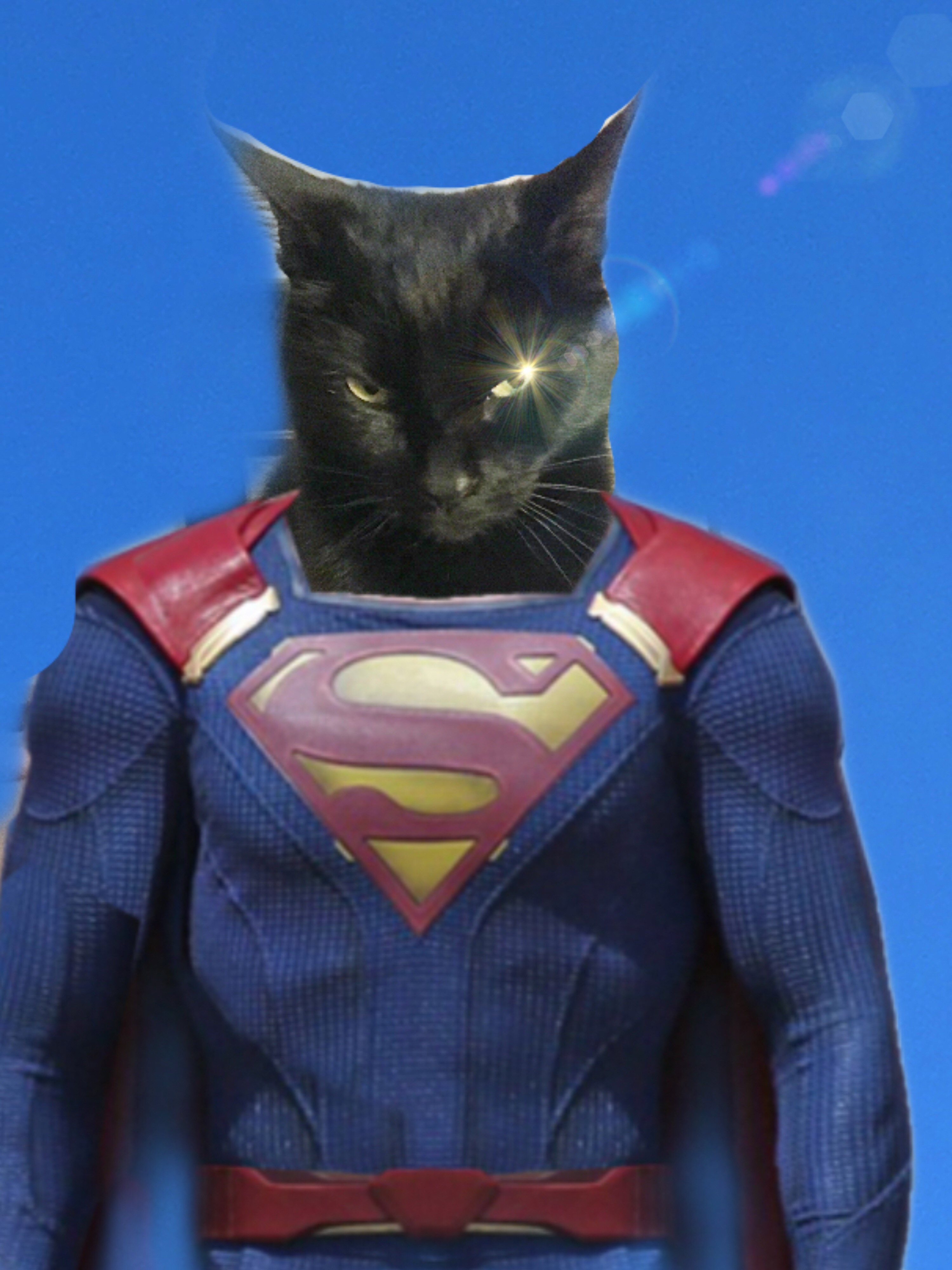 SuperCat