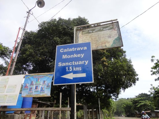 Calatrava Monkey Sanctuary