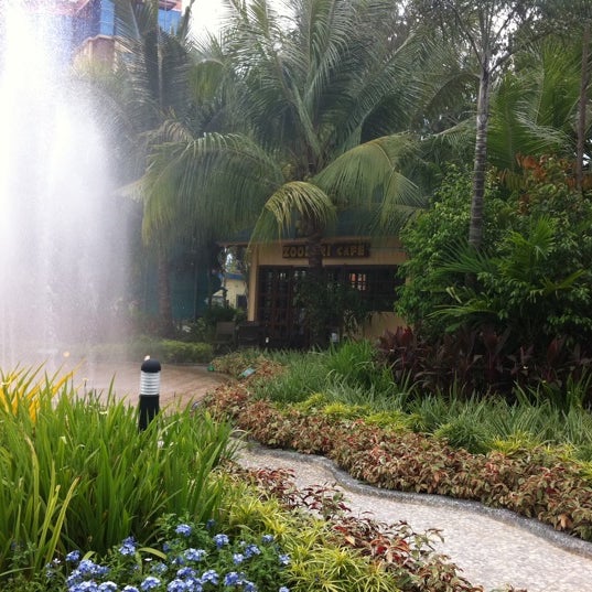 Rainforest Park Cebu