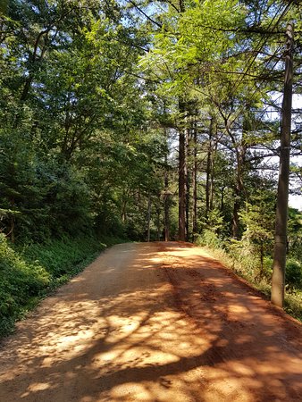 Gyejoksan Mountain Red Clay Trail