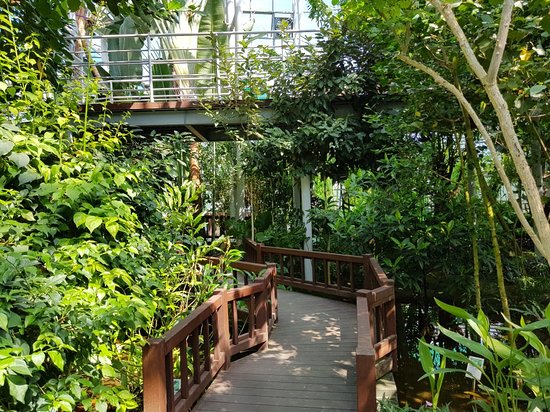 Tropical Botanical Garden