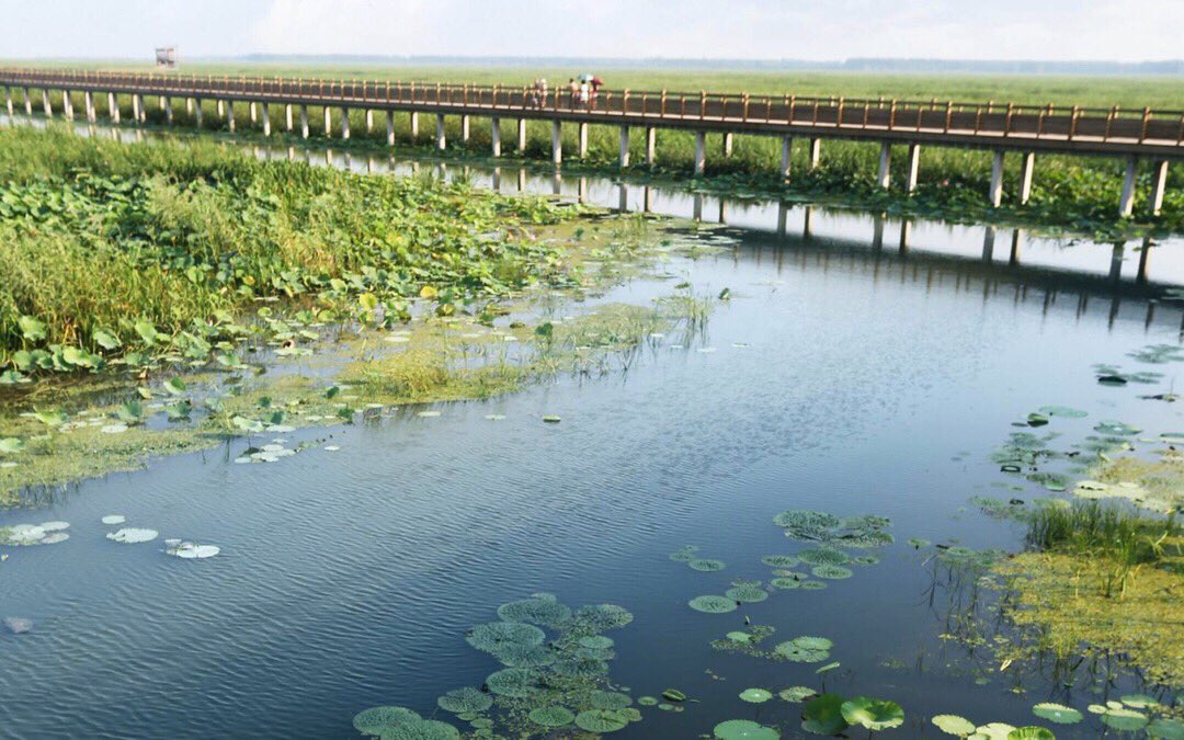 Sunpo Wetlands