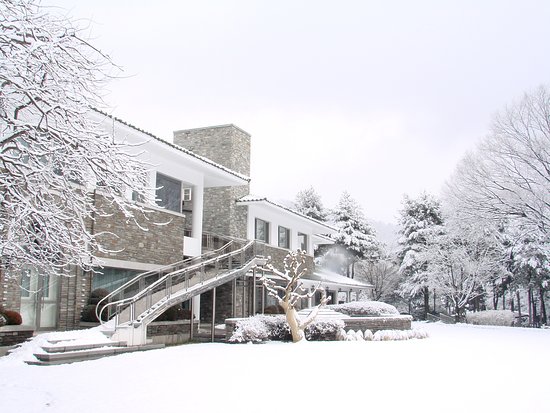 Chungbuk Provincial Office