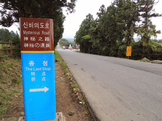 Mysterious Road (Dokkaebi Road)