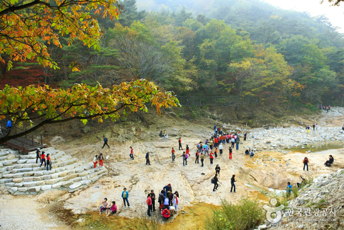 Osaek Carbonated Hot Springs