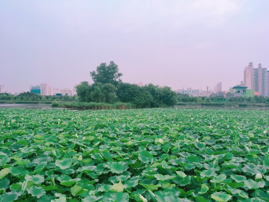 Mansuk Park