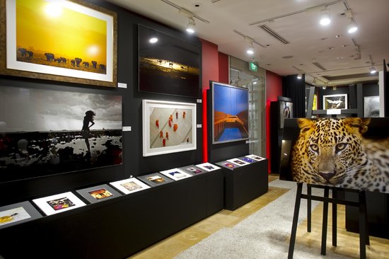 Lalin Gallery