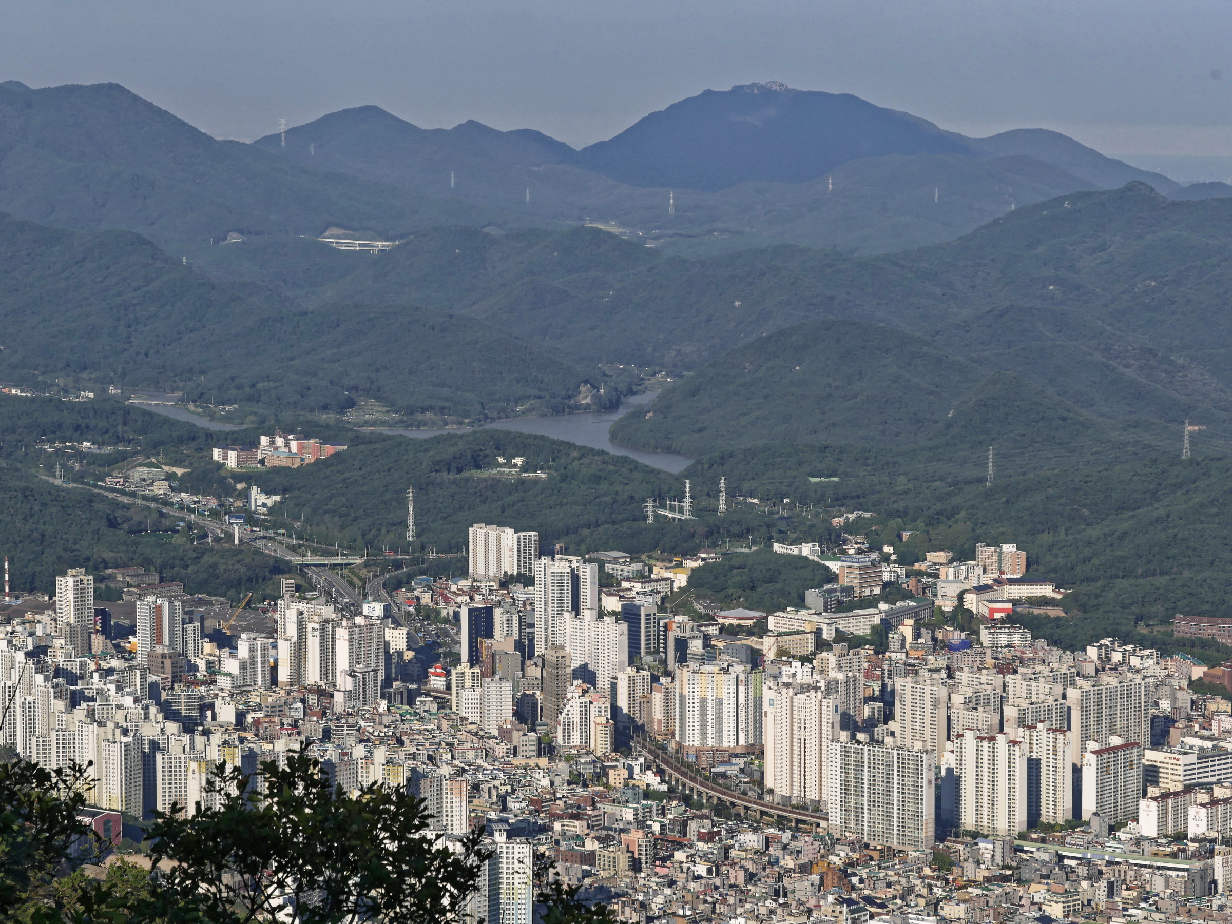 Dongnae W Tai