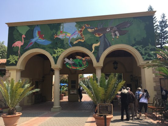 Monte casino bird park
