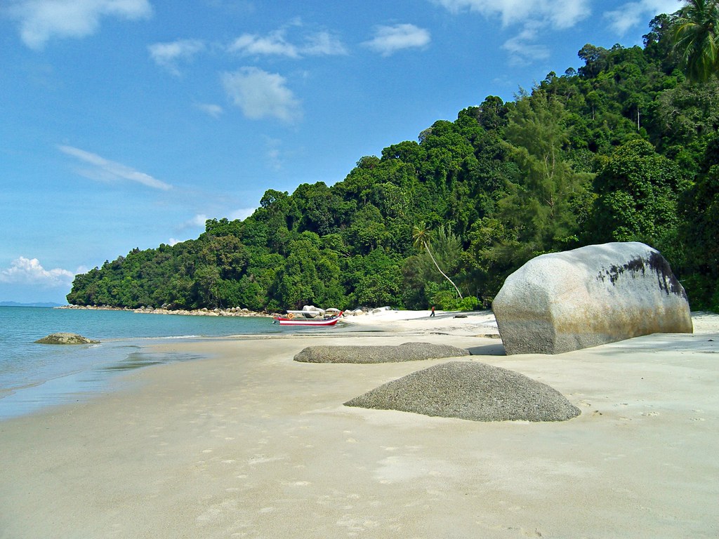 Monkey Beach
