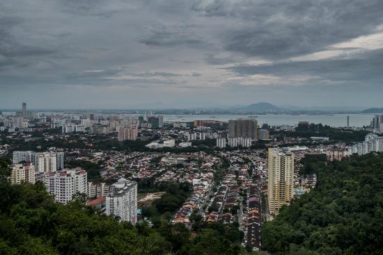 Bukit Hijau