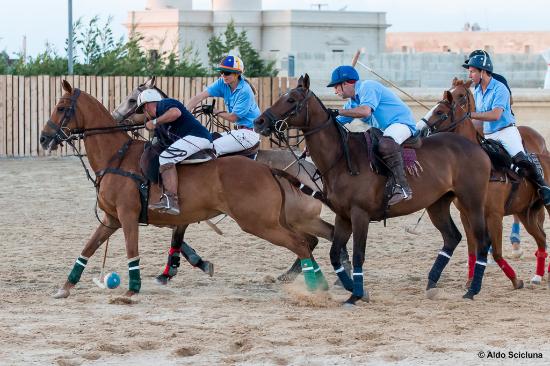 Malta Arena Polo
