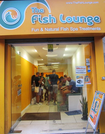 The Fish Lounge
