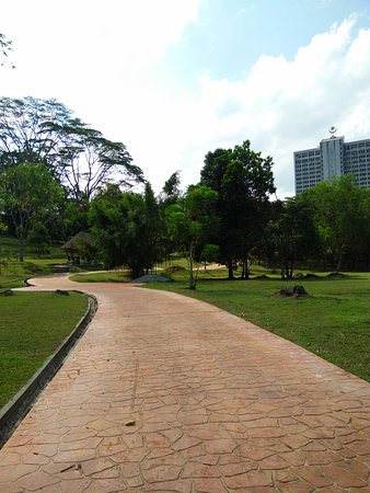 Sarawak Botanical Garden
