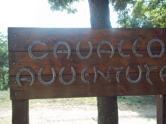Tenuta IL Prato
