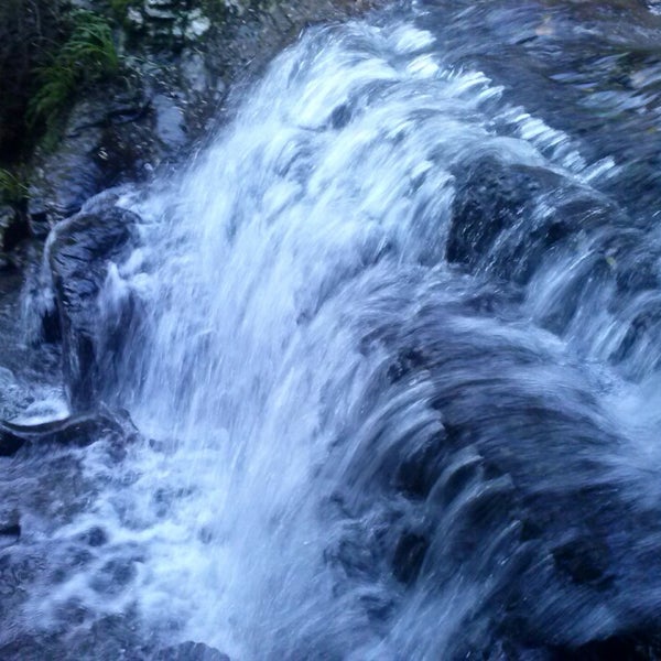Outdoor Pictures 1