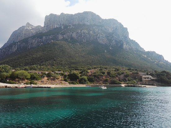 Consorzio Turistico Arcipelago di Tavolara