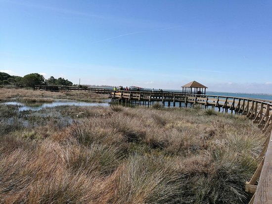 Il Giardino Botanico di Porto Caleri