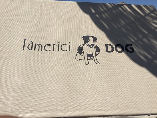 Bagno Tamerici Dog